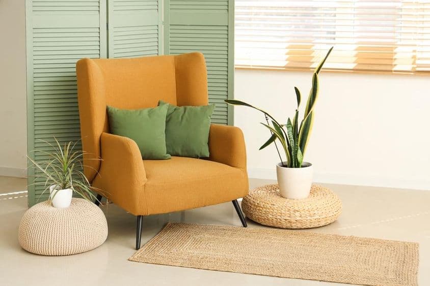 A nappali fotellel, szobanövényekkel és összecsukható paravánnal.