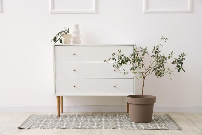 Komód virágcserepekkel és vázával a fehér fal közelében.