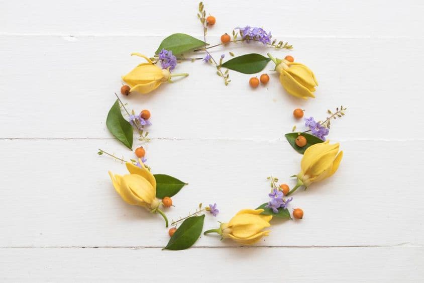 Sárga művirág kör elrendezése.
