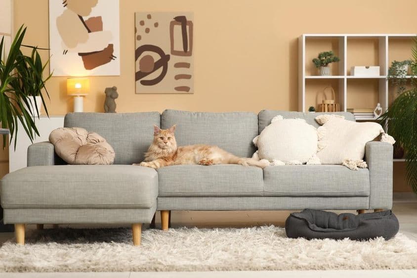 Szürke kanapé a nappaliban.